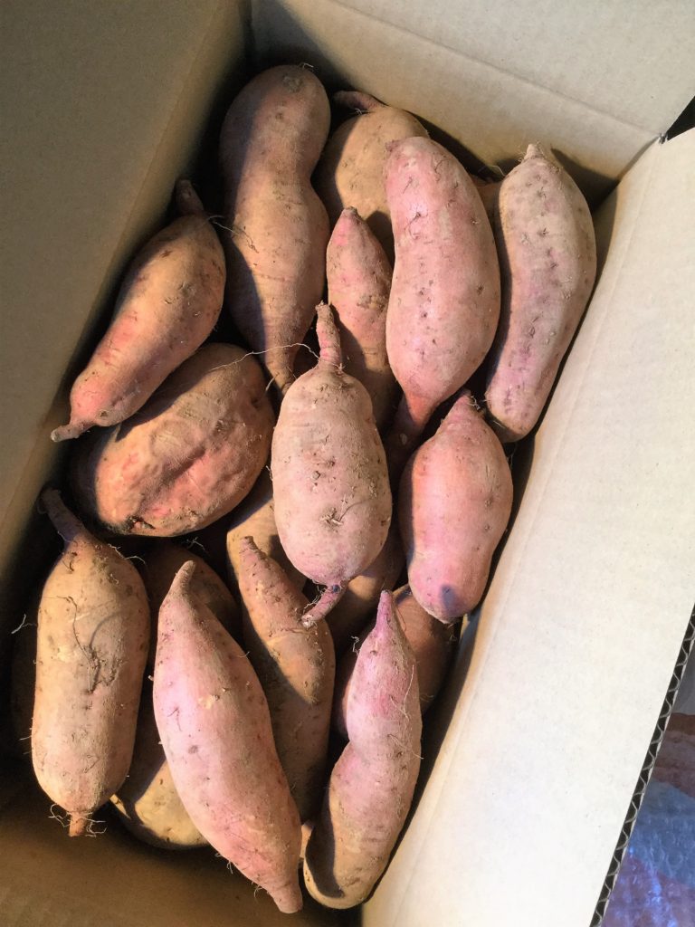 ふるさと有明ファーム