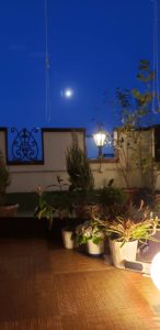 ベルフィオーレセイ