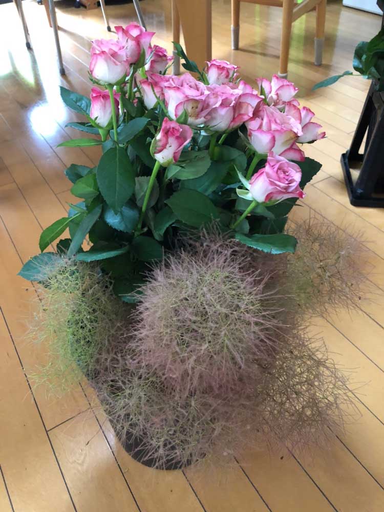 輪バラとスモークツリーの組み合わせ