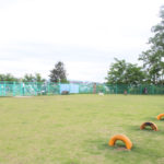 6月9日（日）今日のわんちゃん