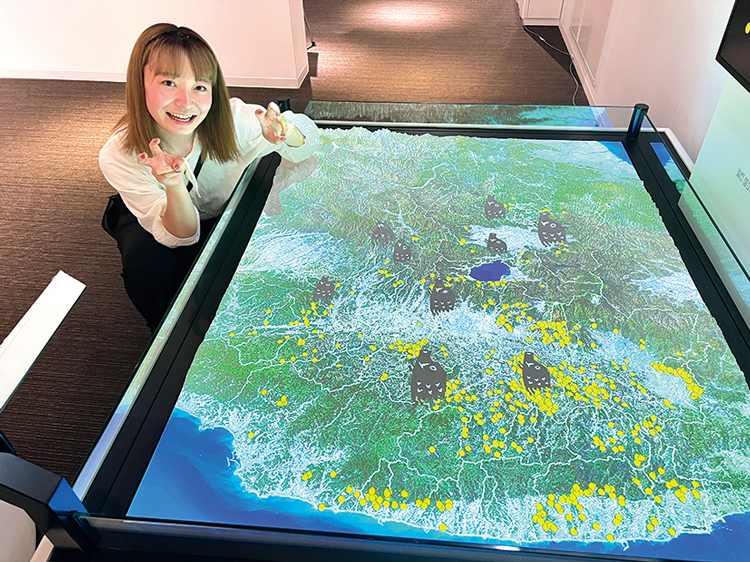 three-dimensional model of Fukushima Prefecture
